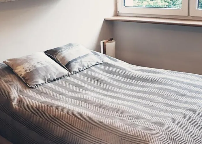 Wici 2 Teofilow Wodny Raj * وودج